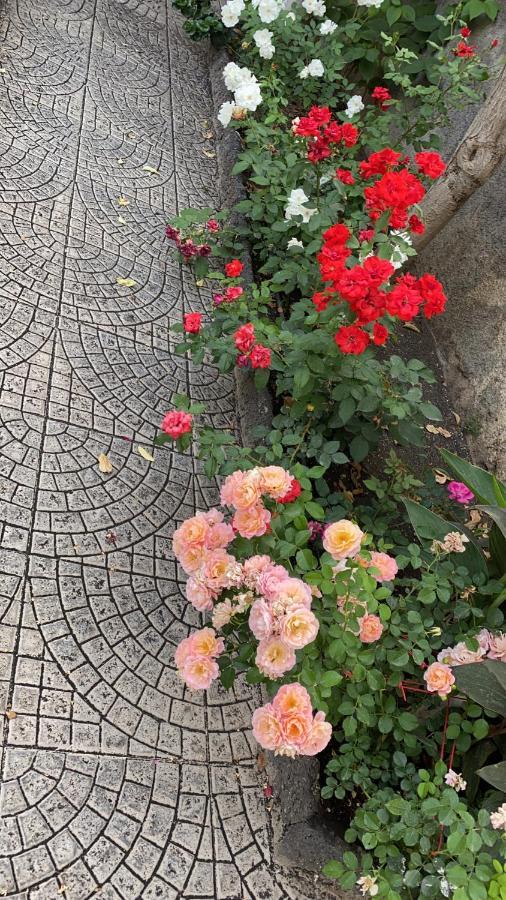 Casa Delle Rose Villa CTA Exterior foto
